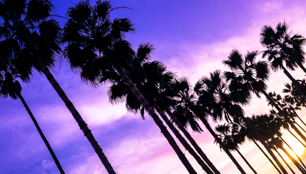 babbleissue1volume1-9